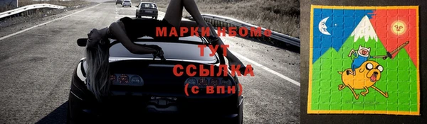 стаф Верхний Тагил