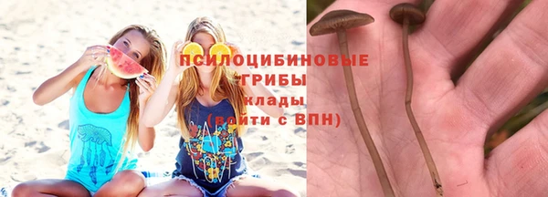 гидра Верея