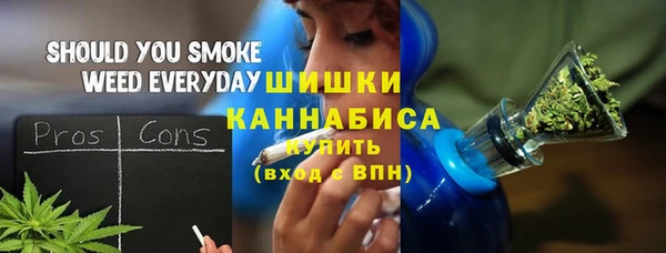 гидра Верея