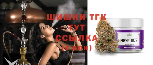 гидра Верея