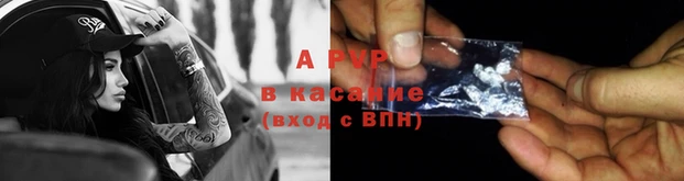 стаф Верхний Тагил