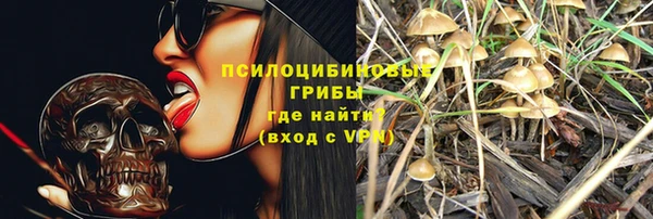стаф Верхний Тагил