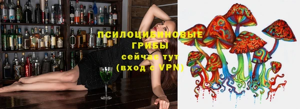стаф Верхний Тагил