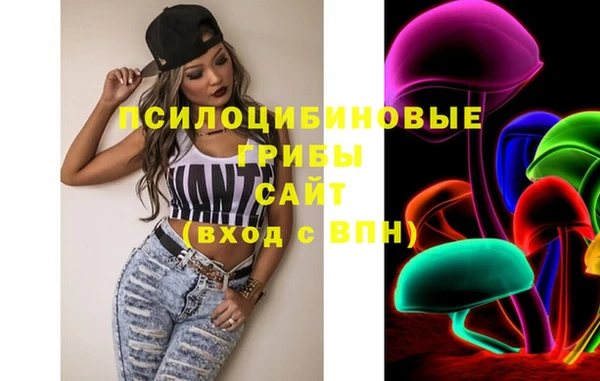 гидра Верея
