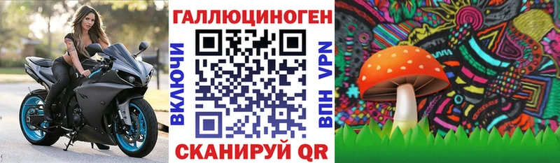 Псилоцибиновые грибы ЛСД  Павловская 